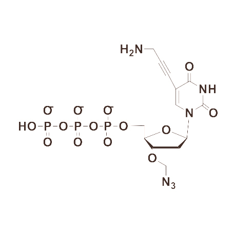 5-Propargylamino-3′-Azidomethyl-dUTP