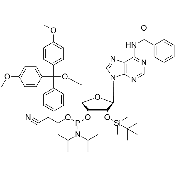 N6-Bz-2'-O-TBDMS-5'-O-DMT-A-3'-CE-Phosphoramidite