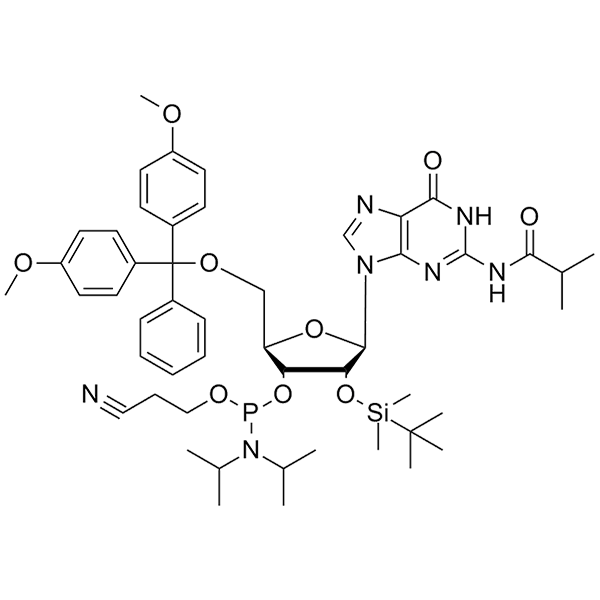 N2-iBu-5'-O-DMT-2'-O-TBDMS-G-3'-CE-Phosphoramidite