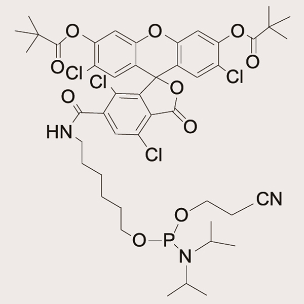 6-TET Phosphoramidite