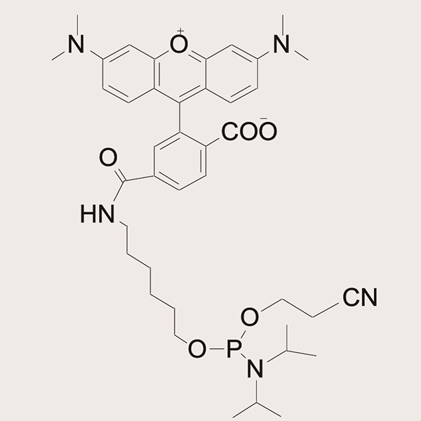 6-TAMRA-Phosphoramidite