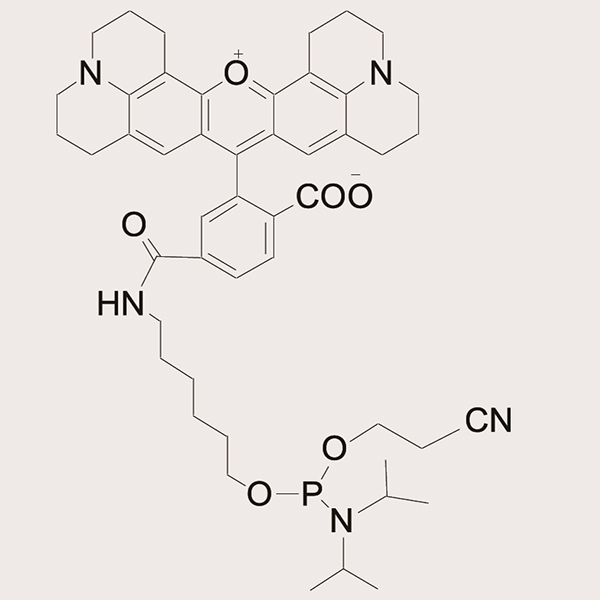 6-ROX-Phosphoramidite
